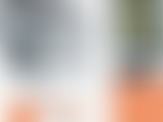 "Eleva il Gusto del Tuo Fritto: Scopri le Friggitrici Professionali a Treviso"