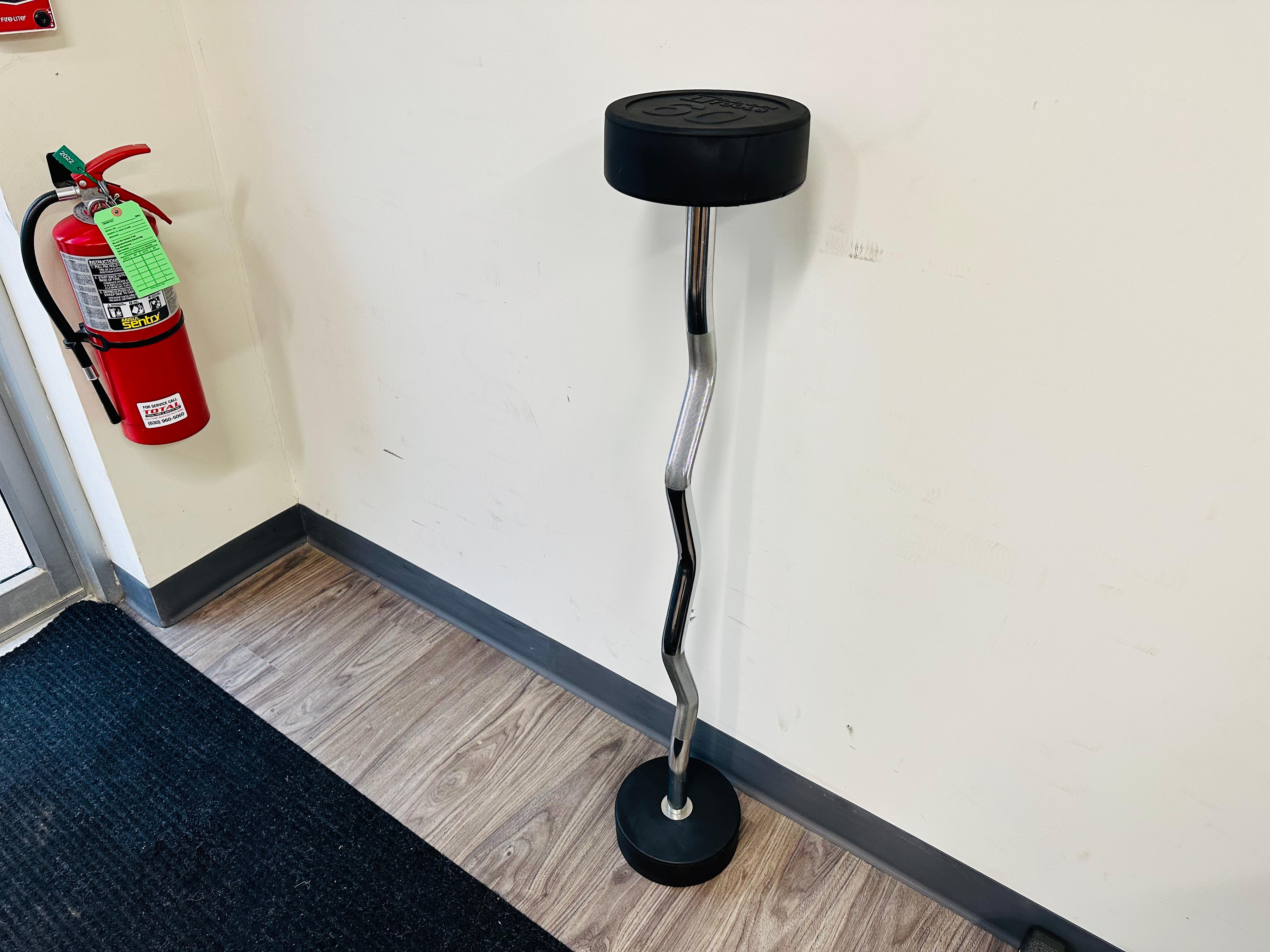 Body Solid 60lbs curl barbell