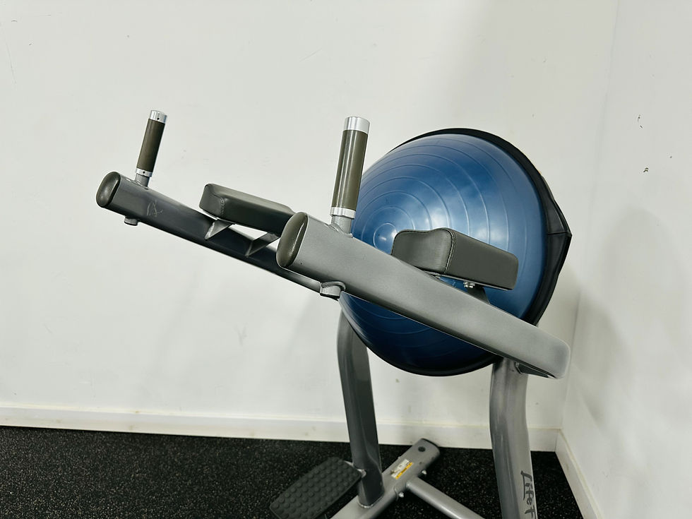 Thumbnail: Life Fitness Leg Raise