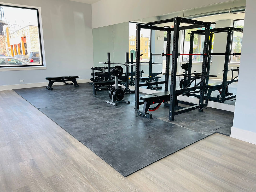 Thumbnail: UE 1000 Power Rack