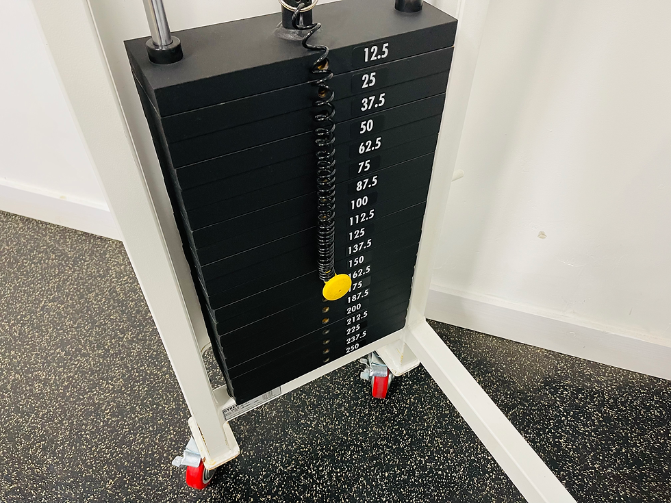 Thumbnail: Commercial Grade Cybex Chest Press Machine