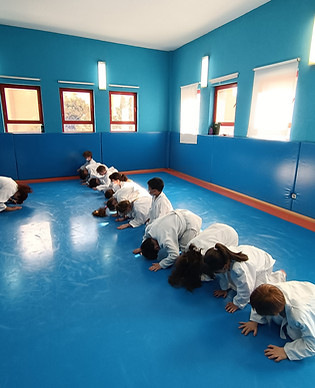 P39 Judo.jpg
