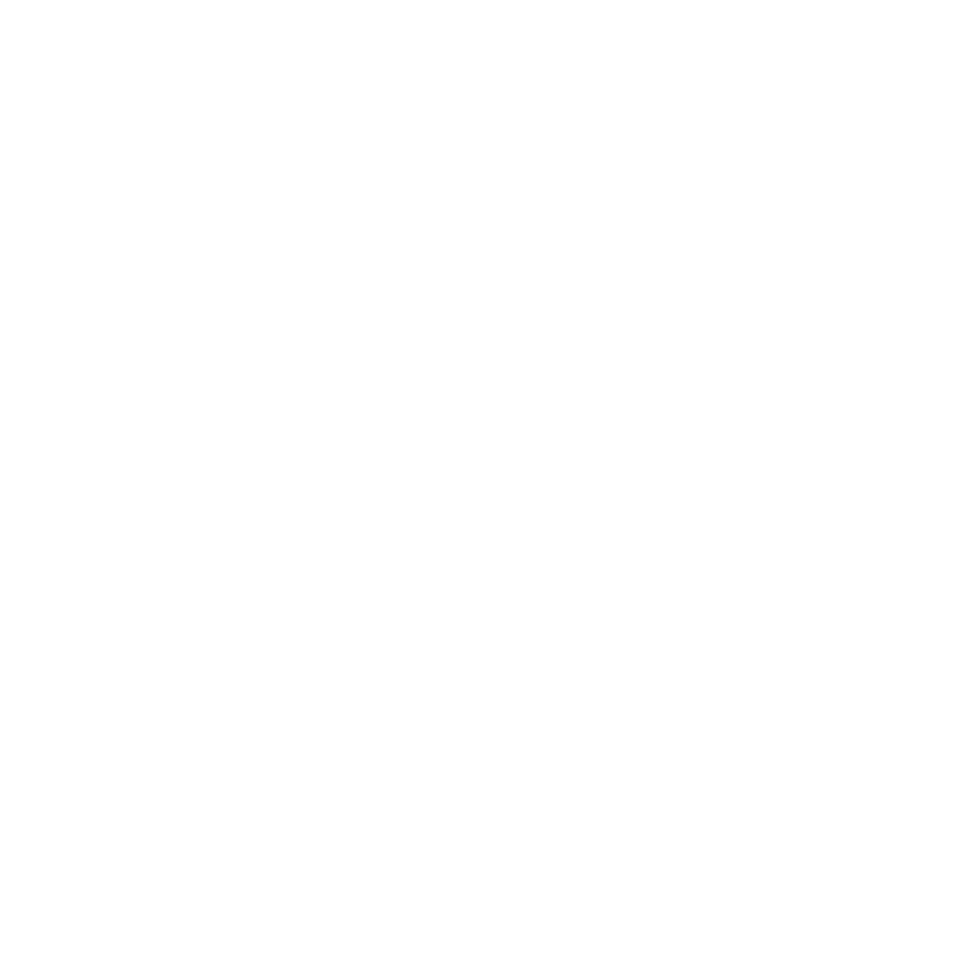 SS-ICONO-BLANCO.gif