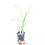 Thumbnail: buy cyrtopodium andersonii orchid plant online