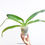 Thumbnail: buy paphiopedilum hung sheng eagle orchid plant online