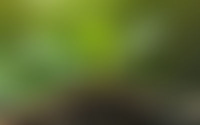 When Rest Becomes Transformation: Embracing Inner Upgrades