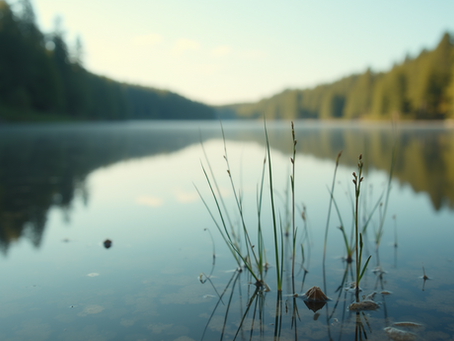 Stratégies pratiques pour surmonter l'anxiété avec TCC