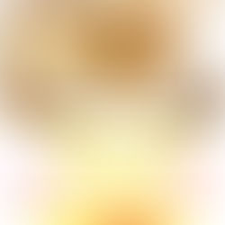 期間限定カルボ風オムライス絶賛販売中