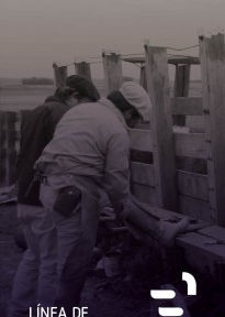 Línea de financiamiento para Cooperativas Agrarias