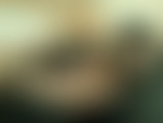 Las cooperativas del MERCOSUR buscan oportunidades en Israel