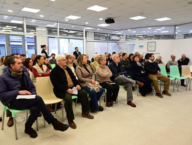 Primera reunión del Comité por el Año Internacional 