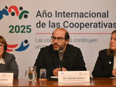 Comité Nacional por Año Internacional de las Cooperativas 