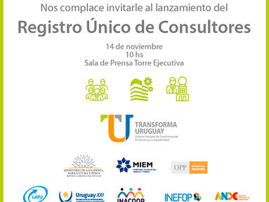 Lanzamiento - Registro Único de Consultores