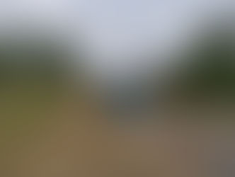 Las cooperativas cuidan nuestro ambiente