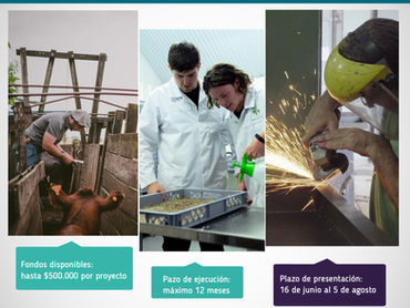 Convocatoria a Proyectos de Inversión Cooperativos 2026 – MIEM/Dinapyme