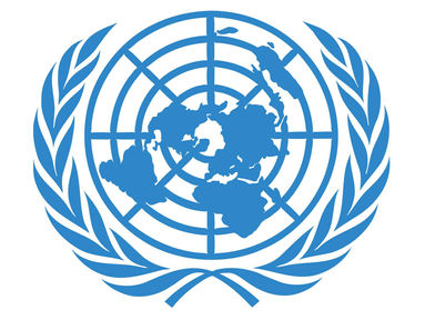 La Asamblea General de la ONU adopta la primera resolución sobre economía social y solidaria