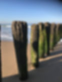 IMG_5194.jpeg