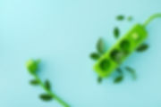 AdobeStock_528093512.jpeg