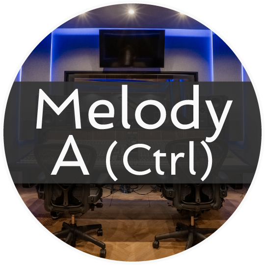 FFS_StudioButton_MelodyA_Ctrl.png