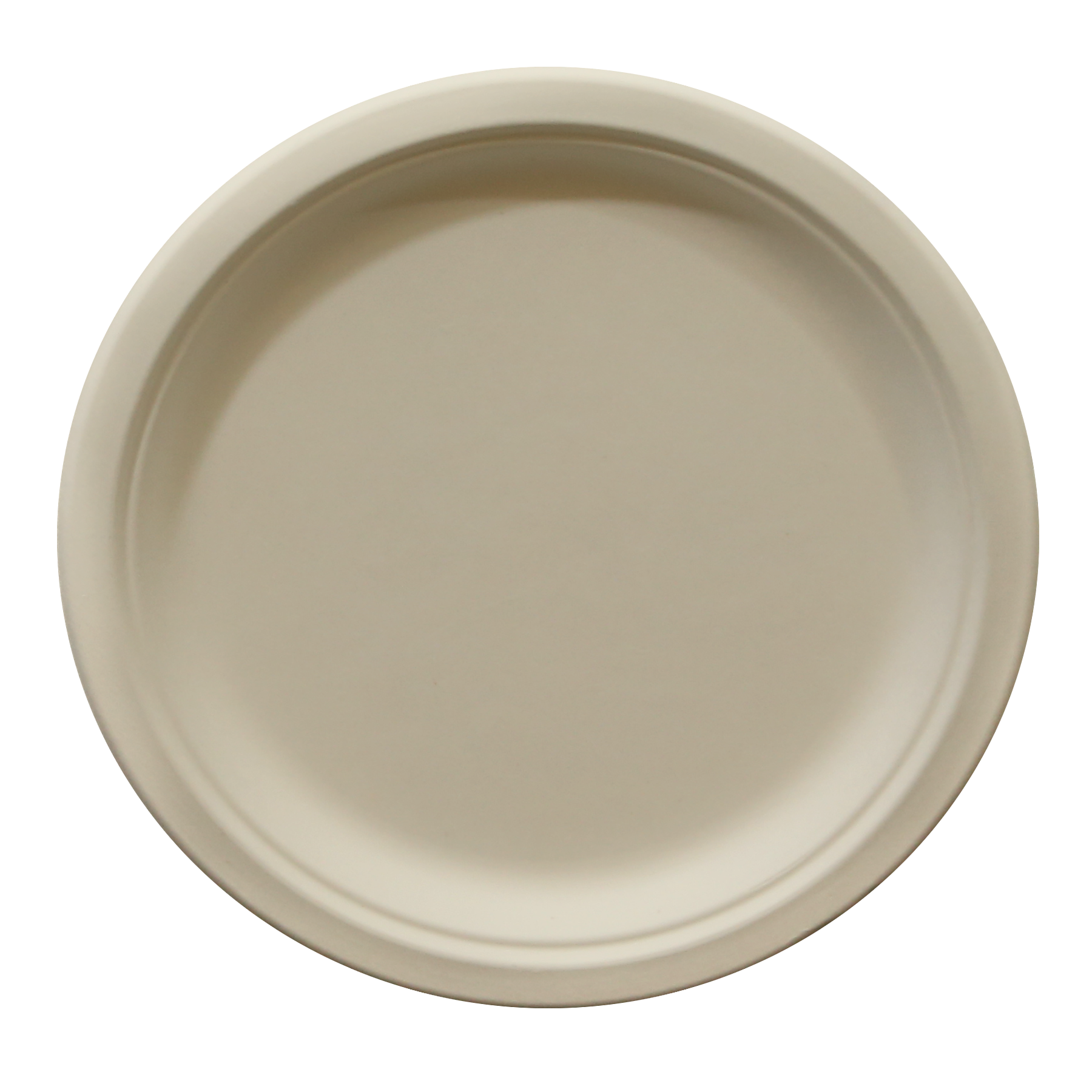 10" Plate - 500 ct