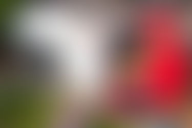 Vital Overview to Air Conditioning Repair Service