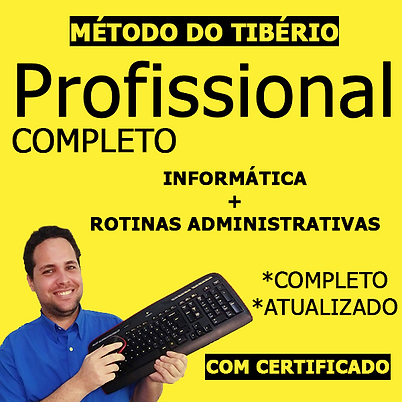 PROFISSIONAL COMPLETO.png