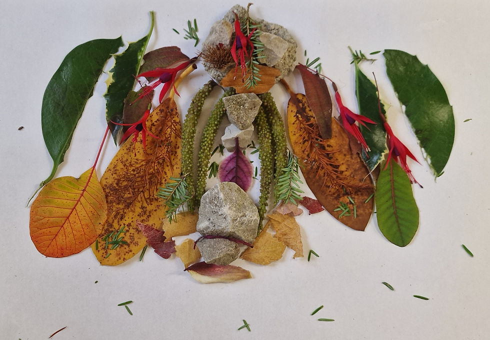 Botanical Gardens Workshop - Collage