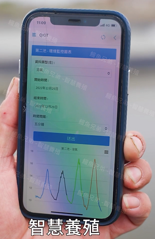 鰻魚兄弟-智慧養殖