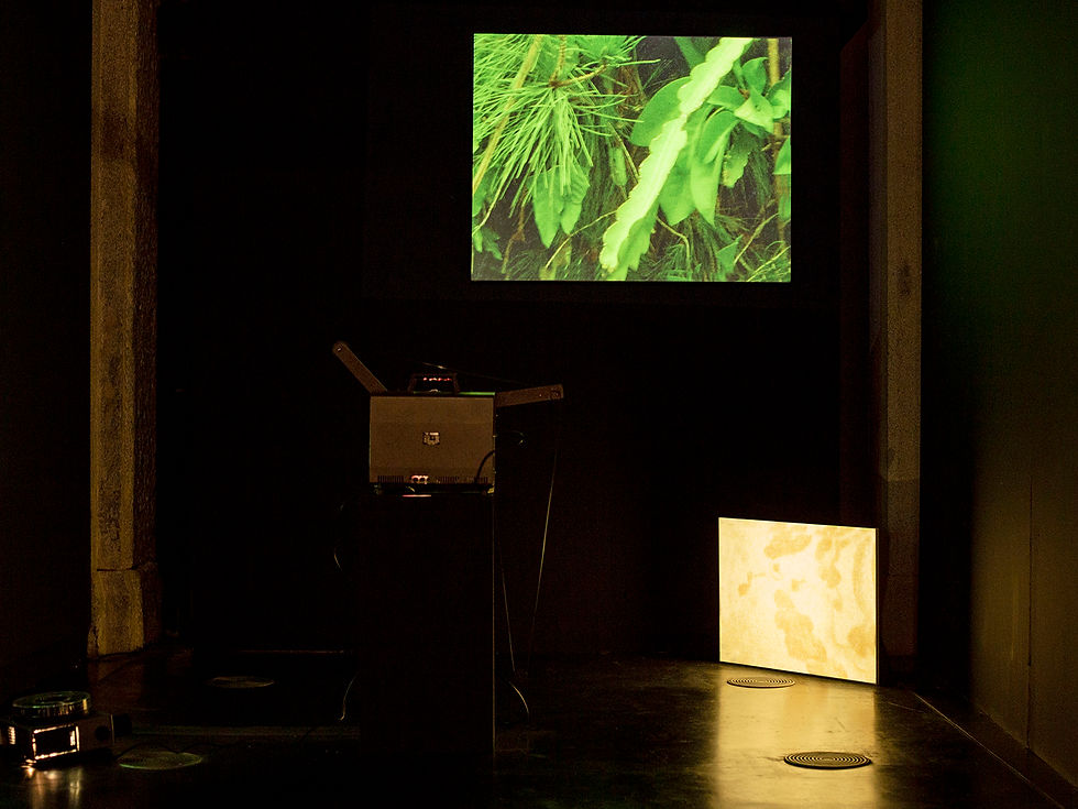 ¿Se puede deletrar la hoja?