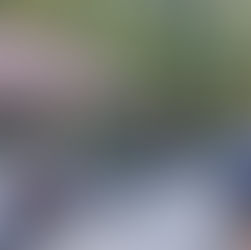 Manos Unidas families in Kenmore