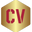 Writer: CVWritersDubai.com