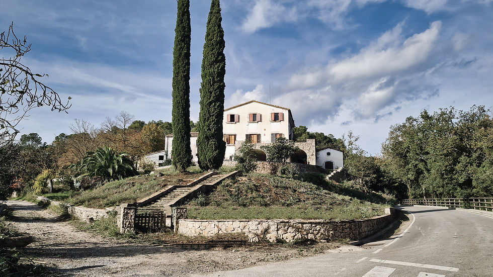 Can Morgat gardens after clearing works