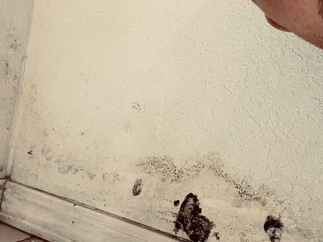 Is Your Home Making You Sick? The Shocking Truth About Mold