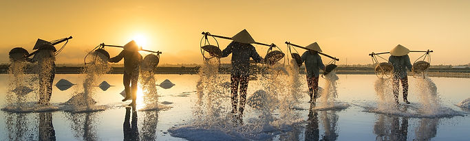 salt-harvesting-3060093_1920.jpg