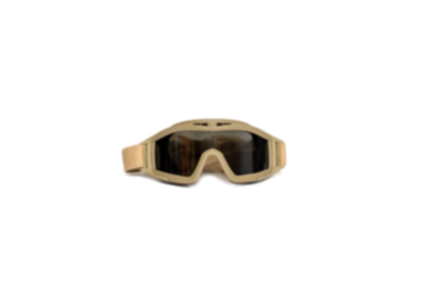 Riding Goggles