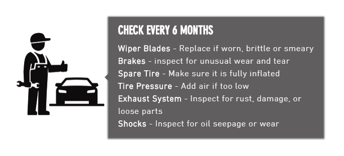 Check Every 6 Months