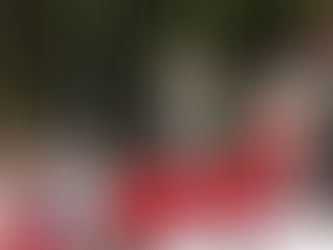 25/11 | 15h00 Santa Missa Solene e Procissão de Santa Catarina- com Dom Wilson Tadeu Jönck, SCJ