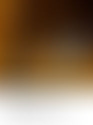 ✨ Programação Especial – Natal e Ano Novo