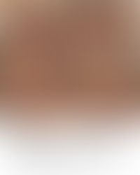 22/11 | 18h15 Santa Missa Jubilar - Jubileu das Pastorais e Movimentos da Catedral