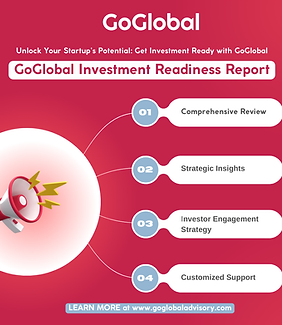 GoGlobal Investment Readiness Report infographic detailing four key services: Comprehensive Review, Strategic Insights, Investor Engagement Strategy, and Customized Support.