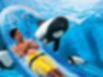 Aquatica Orlando (by SeaWorld)