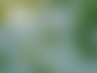 10 Must-Do Activities in Orlando This February