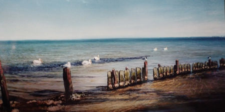 Fulton Beach White Pelican