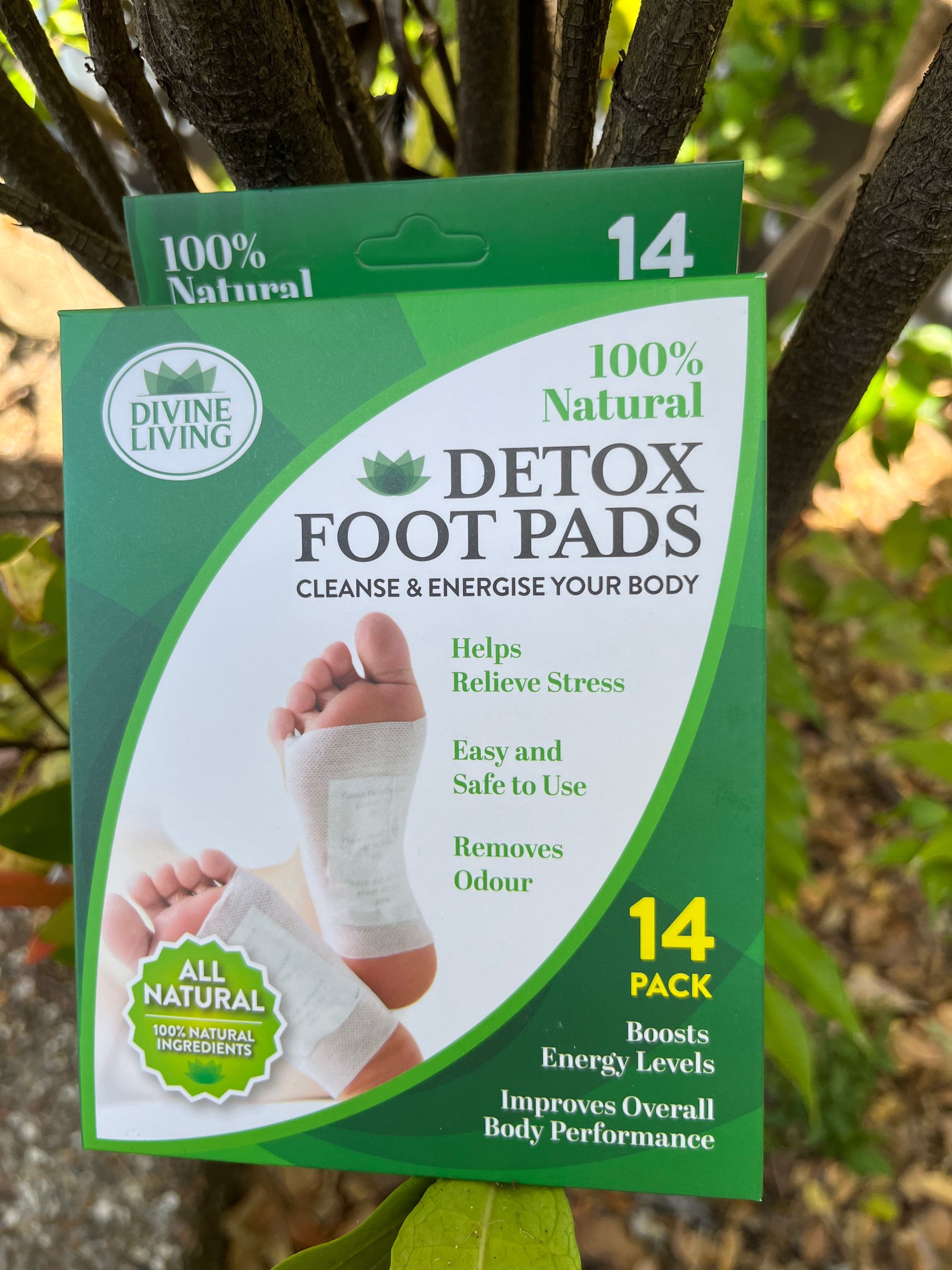 DETOX FOOT PADS