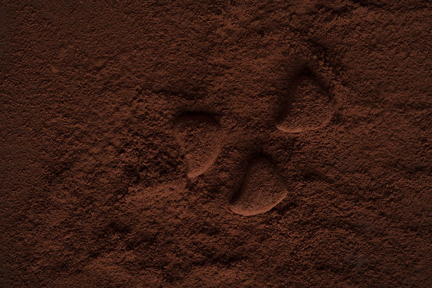 chocolate-candies-covered-dark-powder.jpg