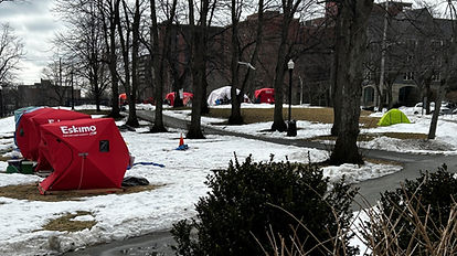 victoria-park-1-6784354-1708983500166.jpg