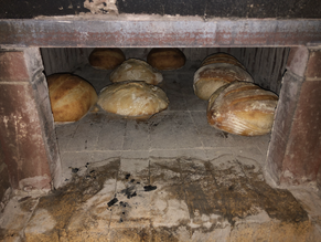 Bread Update First Week of October