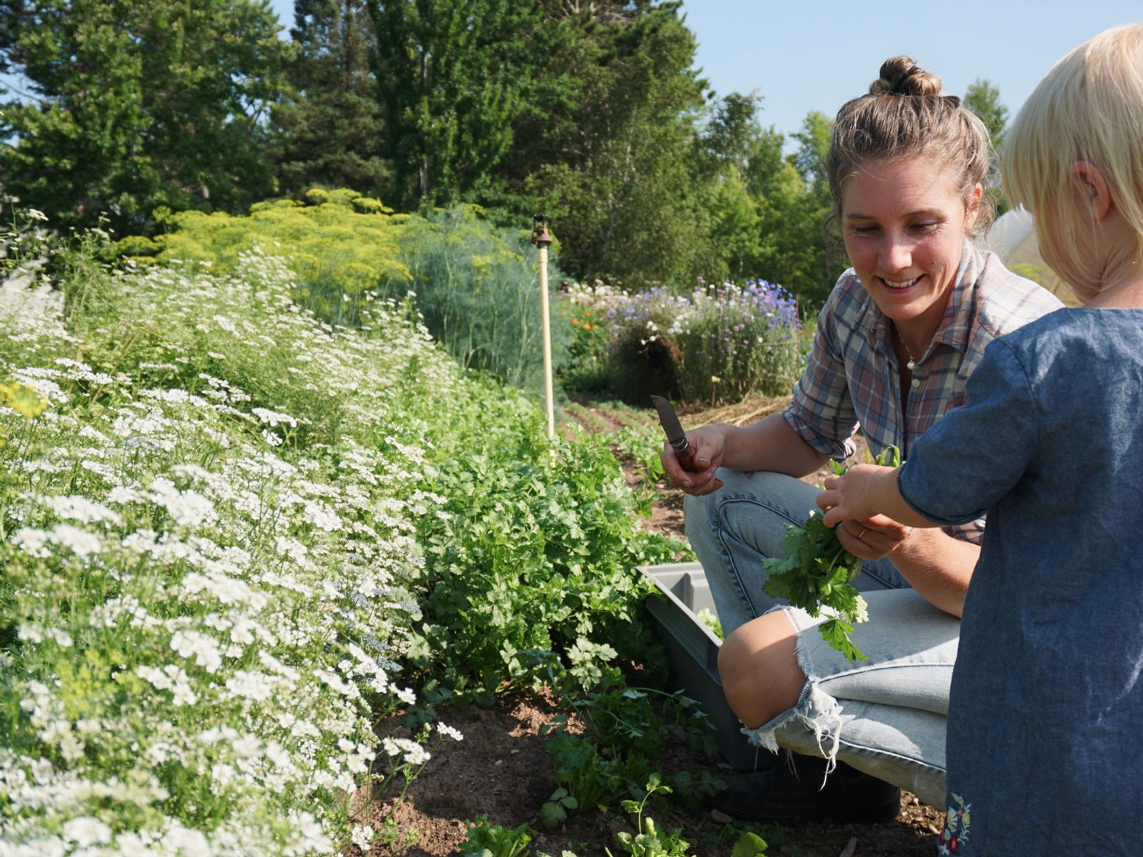 Abraham's Table Farm