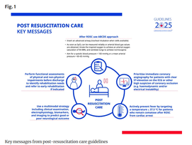 European Resuscitation Council and European Society of Intensive Care Medicine guidelines 2025: post-resuscitation care