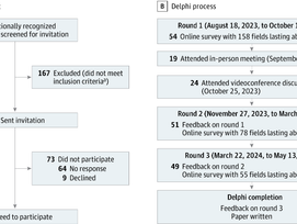 Revised Diagnostic Criteria for Vascular Cognitive Impairment and Dementia—The VasCog-2-WSO Criteria